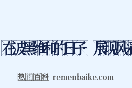 在波黑维和的日子·展现风采是什么意思的图片